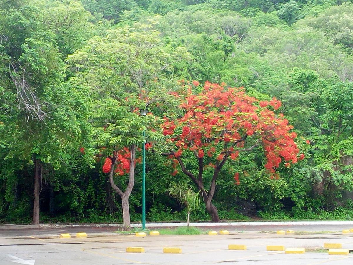 Camino Al Mar Leilighet Santa Cruz Huatulco Eksteriør bilde